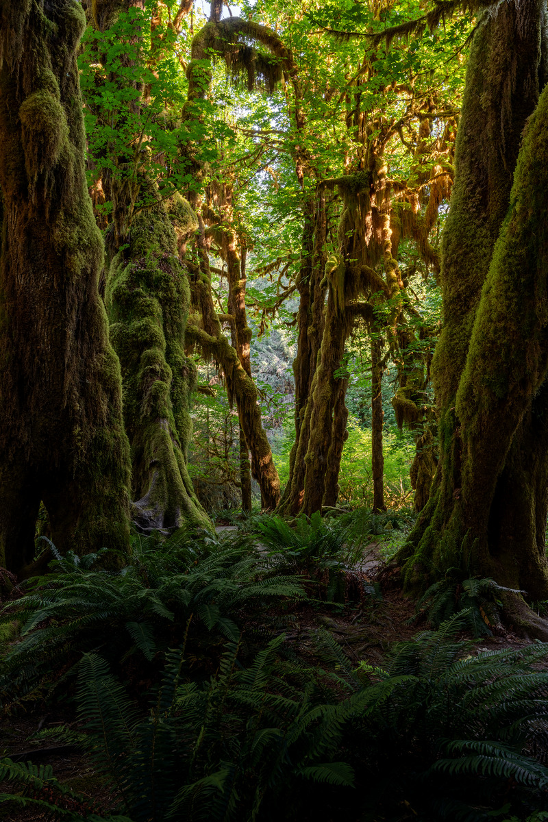 Impression de cadre personnalisé