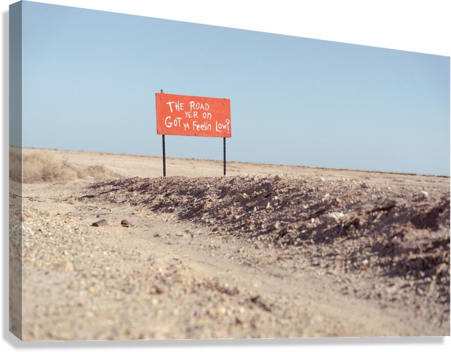 Feeling Low  Canvas Print